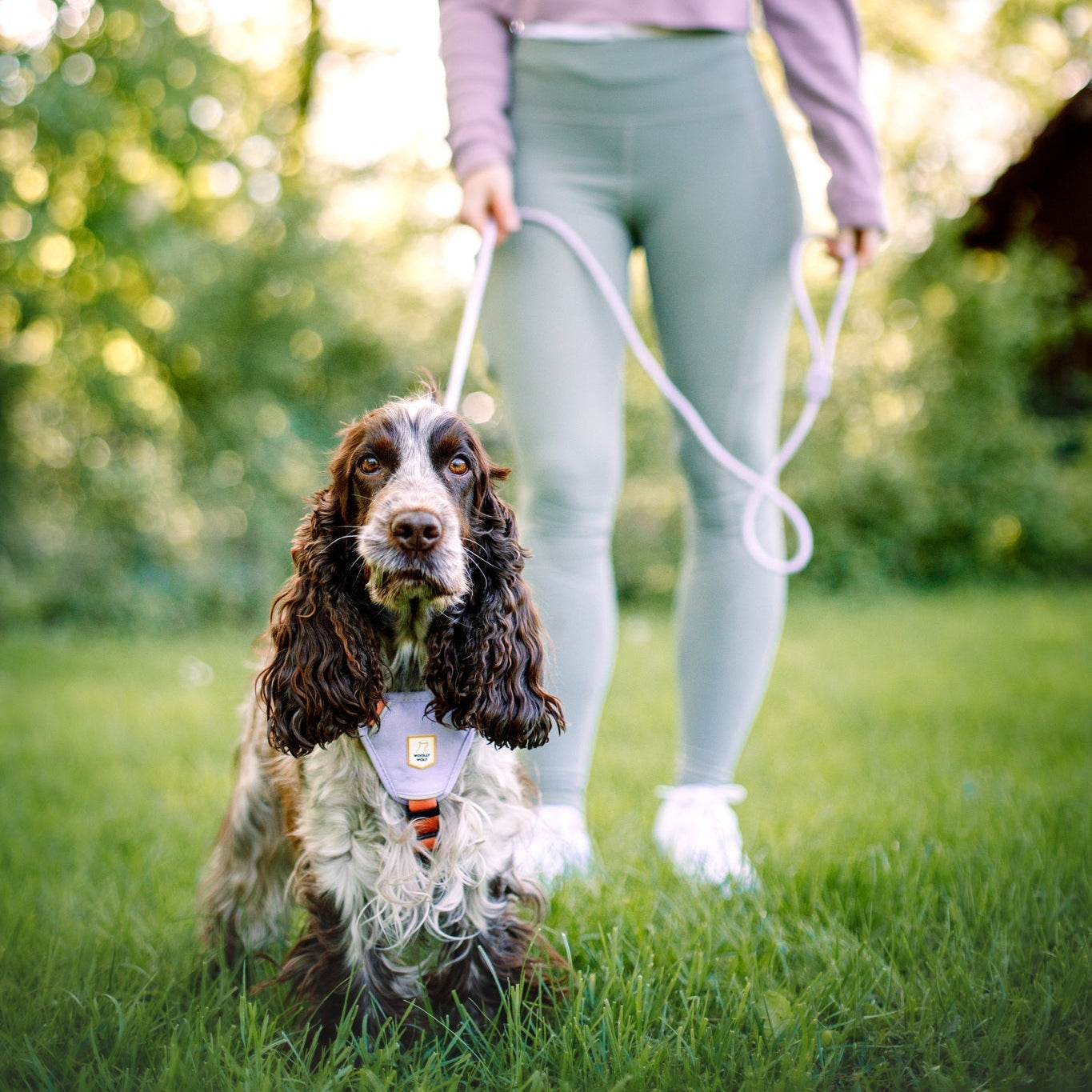 Color Block Harness: 5-Point Adjustable Support - Woolly Wolf