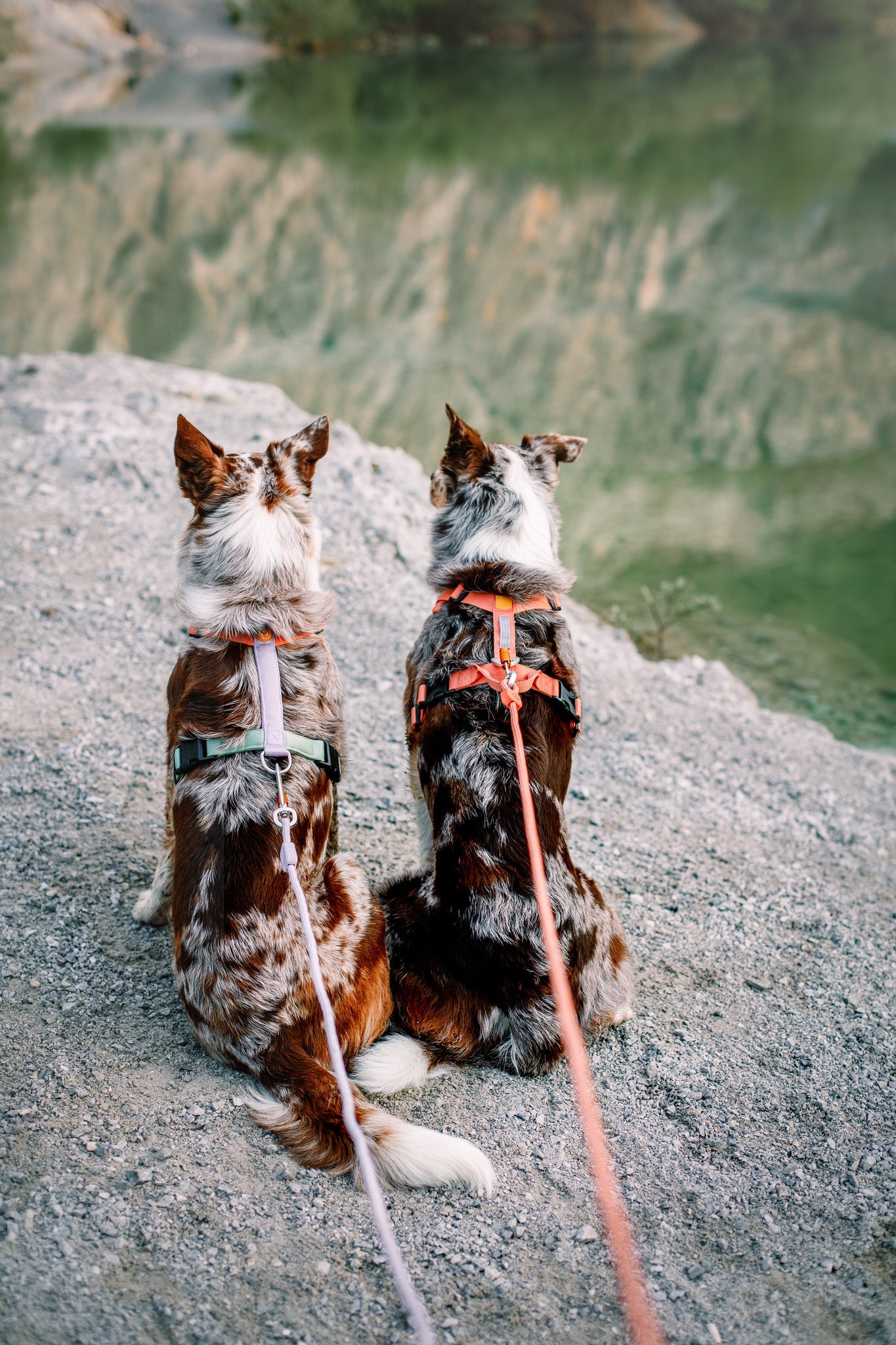 Color Block Harness Salmon Pink Mix - Salmon Pink MixXXS