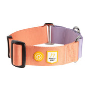 Color Block Martingale Collar Salmon Pink Mix - Salmon Pink MixS