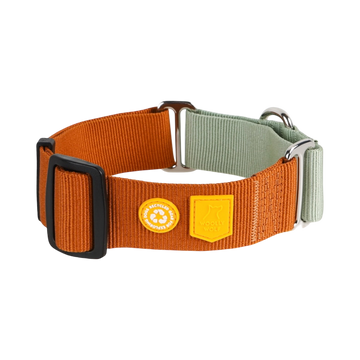Orange and green adjustable dog collar with black buckle and two yellow patches.