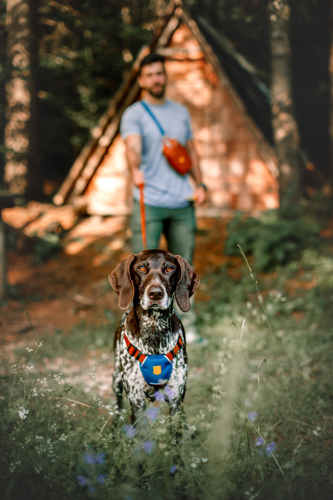 Color Block Martingale Collar Terracotta Mix - Terracotta MixS