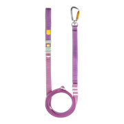 Purple adjustable dog leash with a metal carabiner clip and a coiled section on a white background.