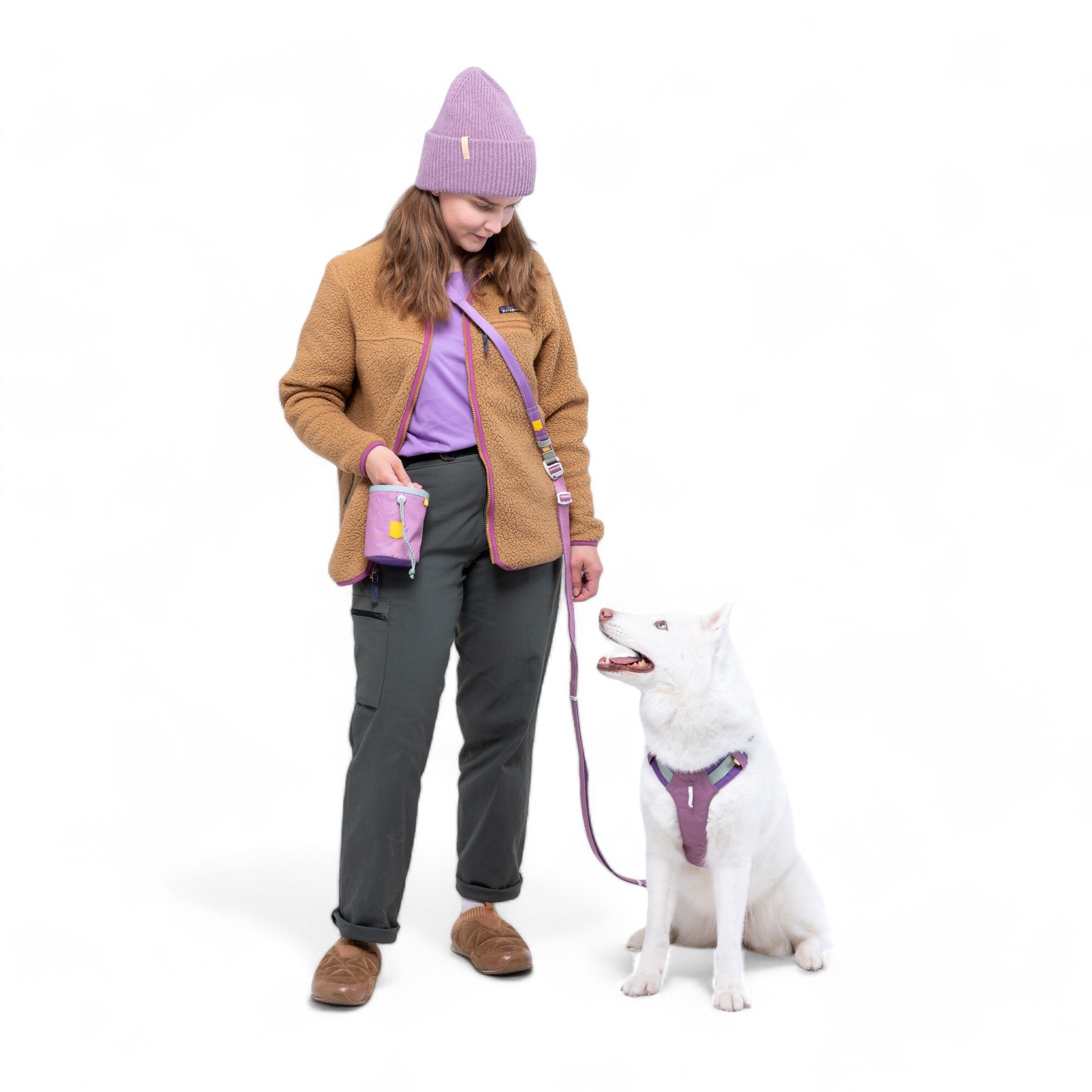 Mauve Dog Leash: Color Block, Multi-Use, Adjustable Length