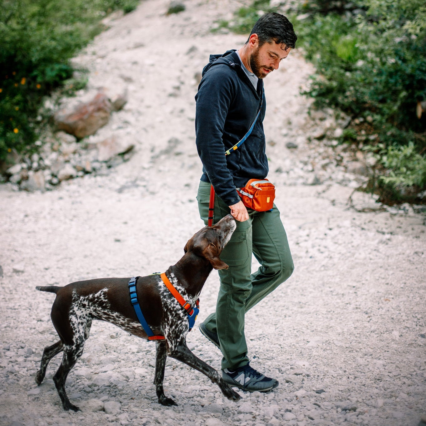 Terracotta Dog Leash: Multi-Use, Adjustable, and Safe - Woolly Wolf