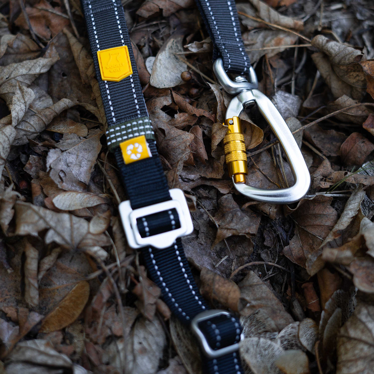 Black dog leash with a metal carabiner and adjustment buckle lying on dry leaves.
