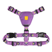 Northern Lights Harness - XXS