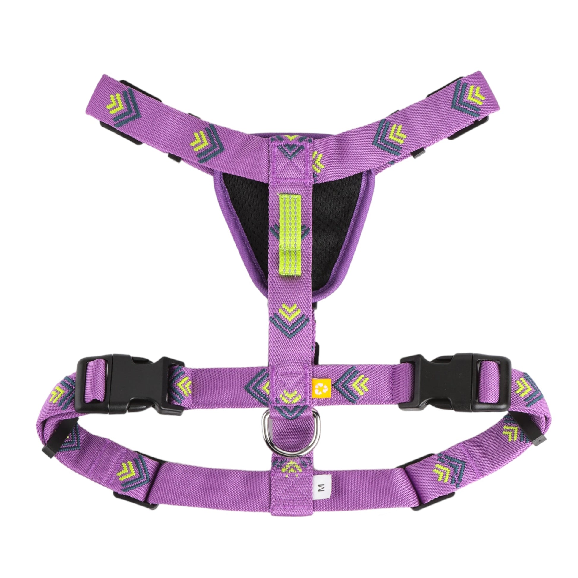 Northern Lights Harness - XXS