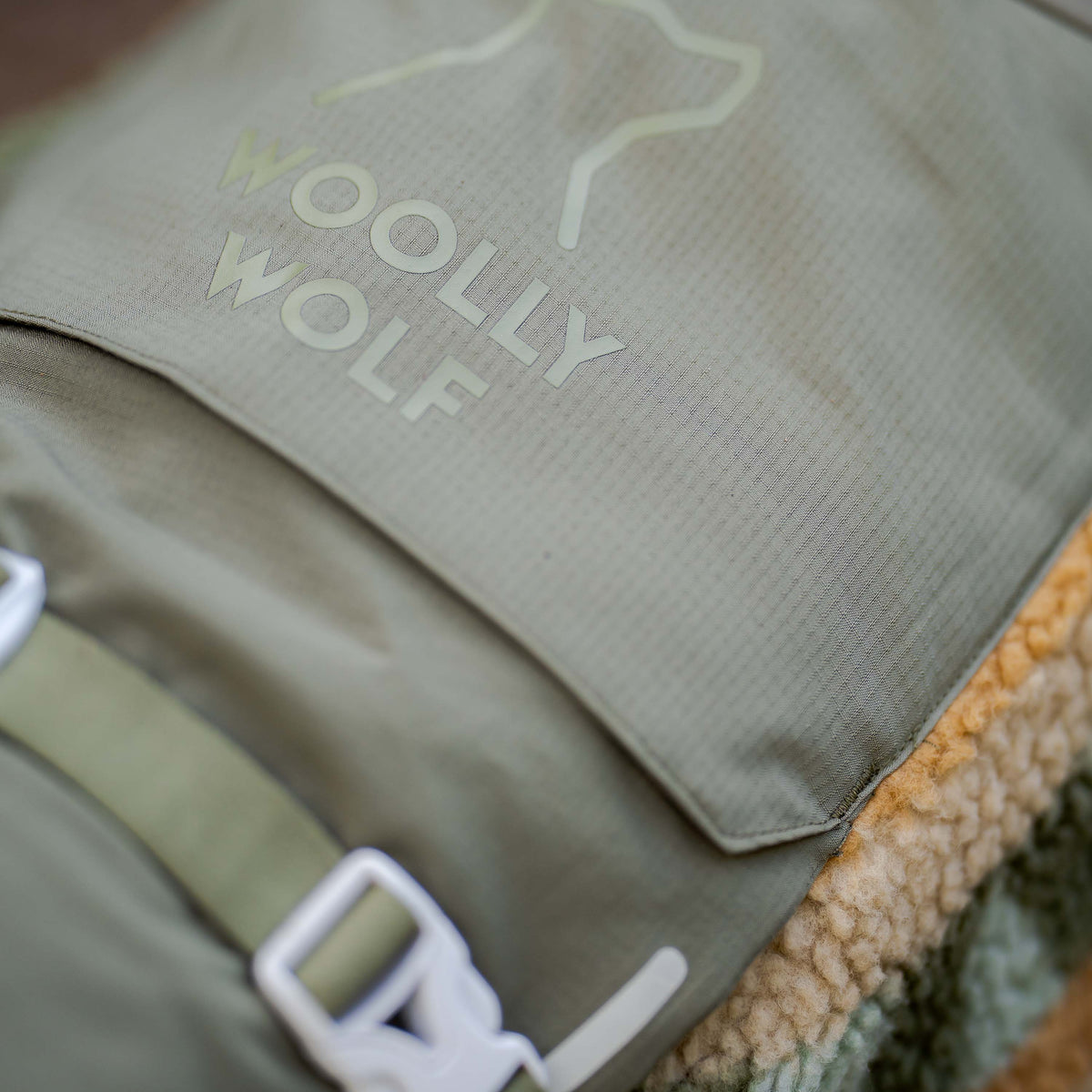 Woolly Wolf