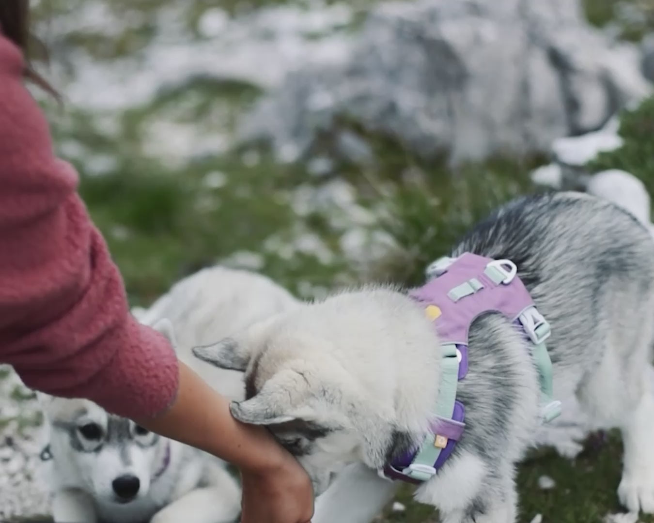 Video laden: 