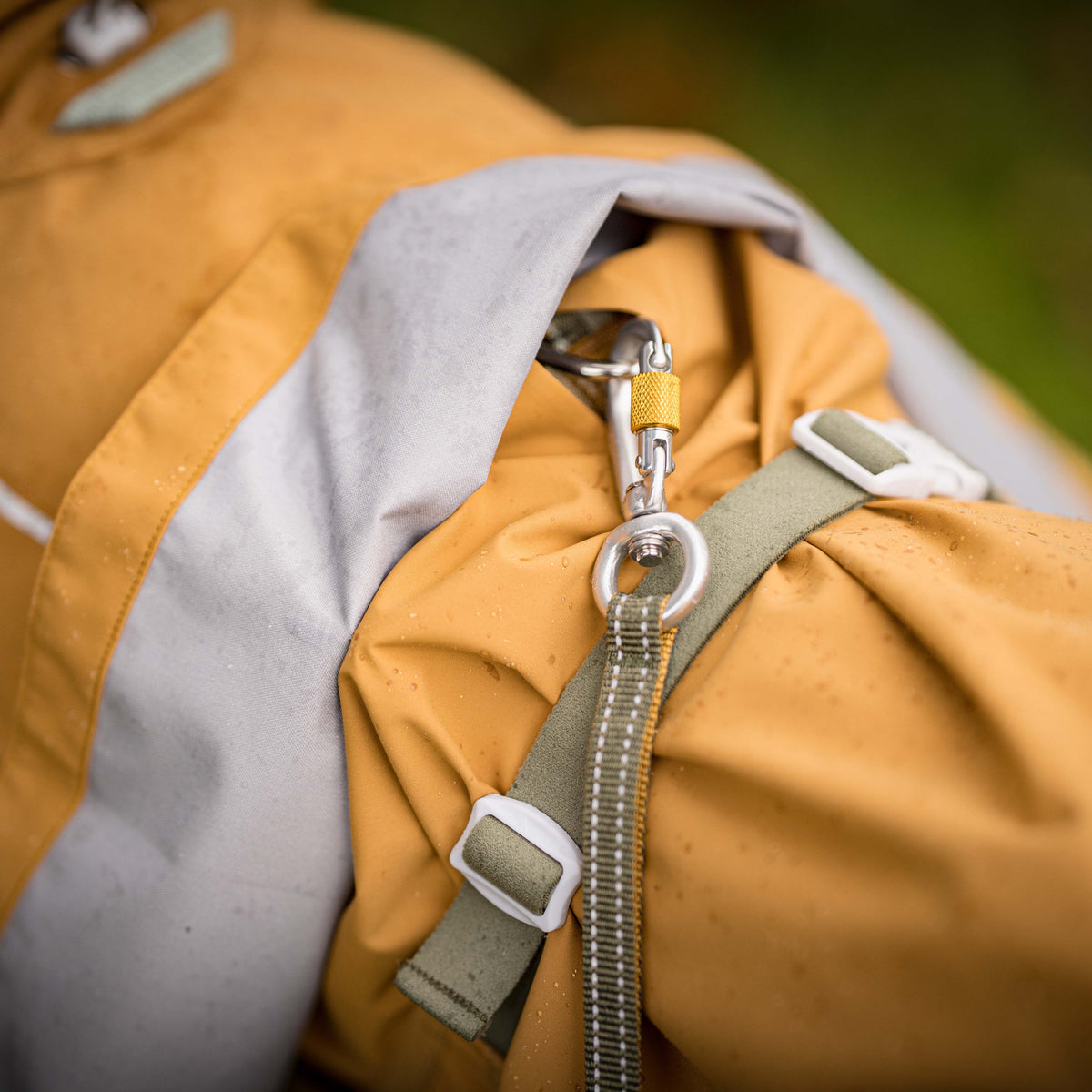 Dog raincoat with a leash attached to a metal D-ring.