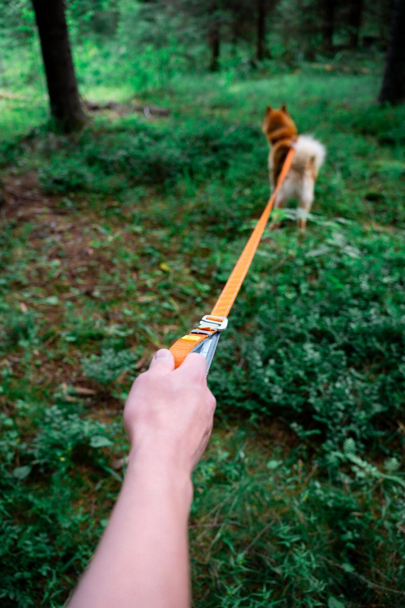 Roam Adjustable Leash Terracotta Ripple -