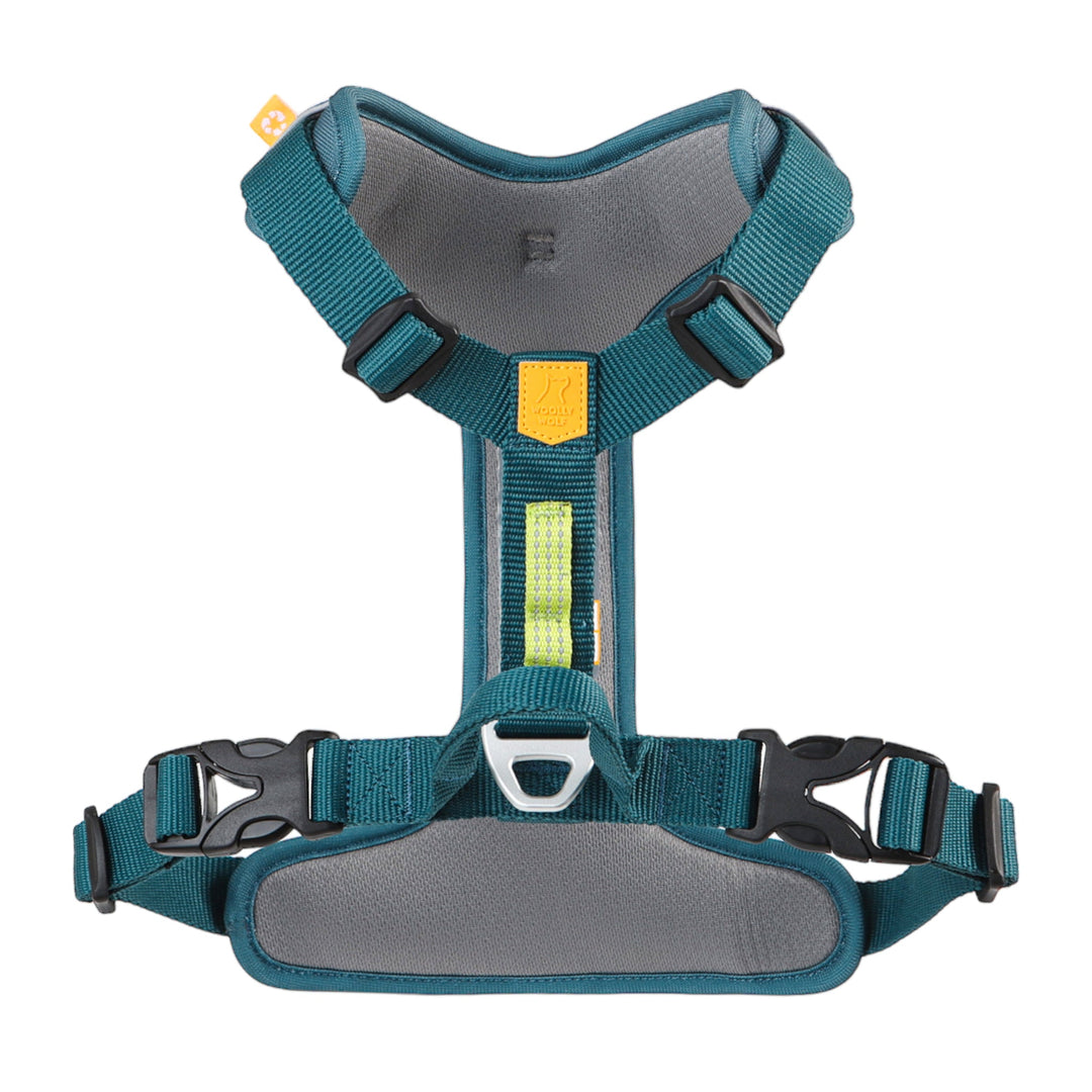 Roam Harness Deep Teal Ripple - XS