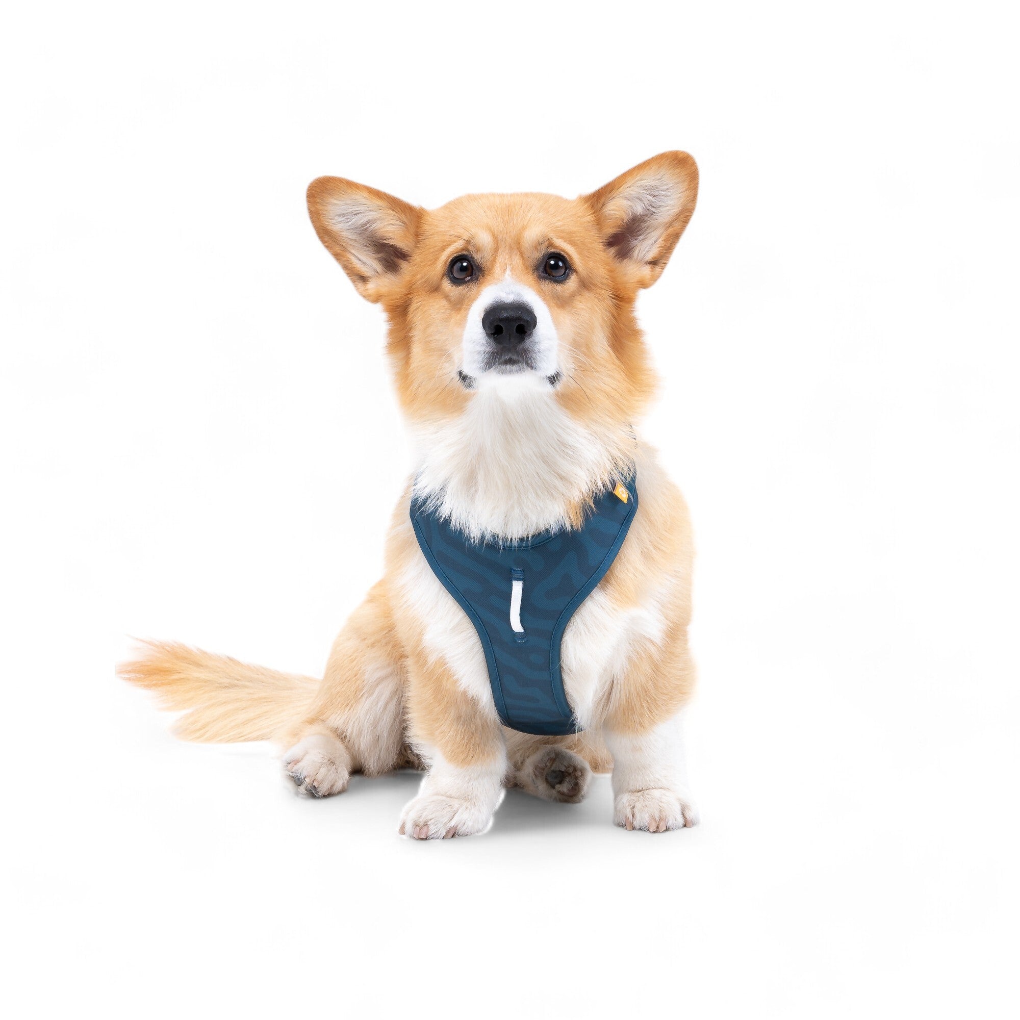 Roam Dog Harness Deep Teal - Woolly Wolf