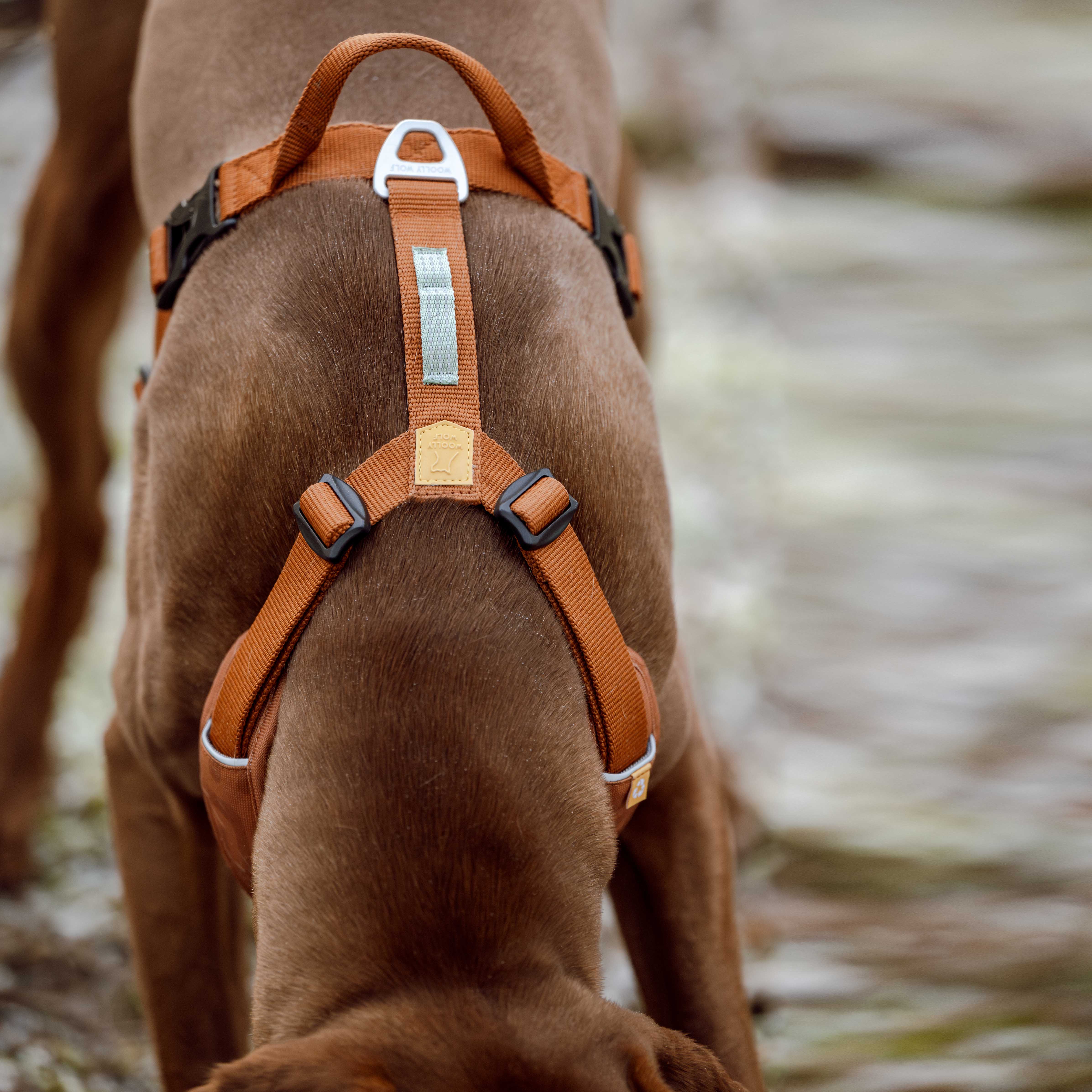 Roam Dog Harness Terracotta - Woolly Wolf