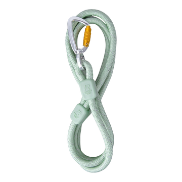 A mint green climbing rope looped in a figure-eight with a silver carabiner attached.