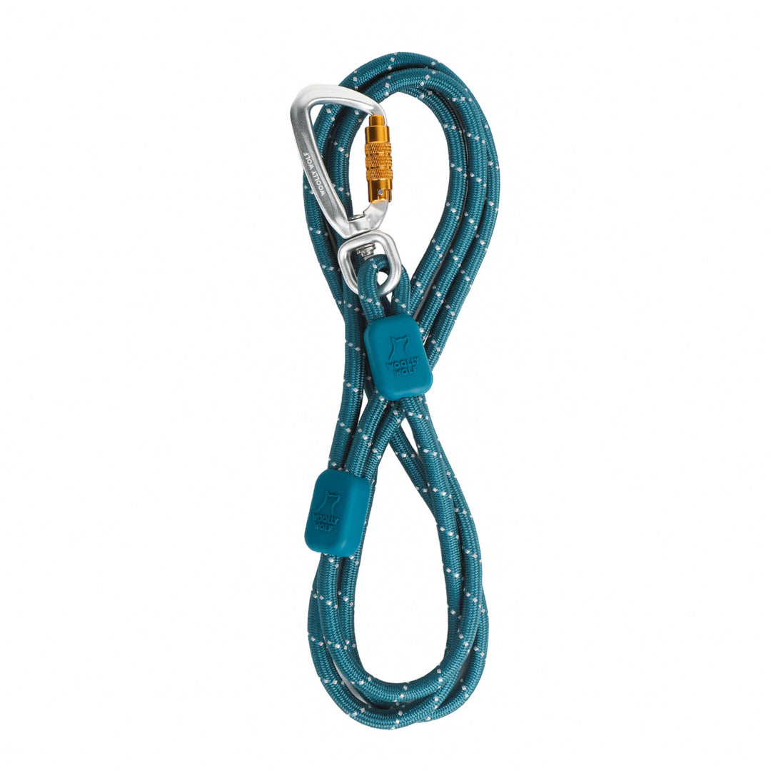 Rope Leash Thin Deep Teal - 