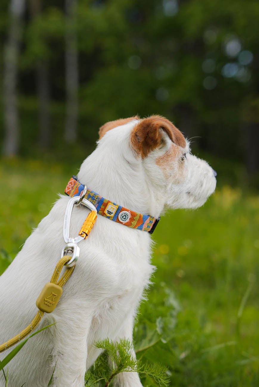 Rope Leash Thin Pistachio -