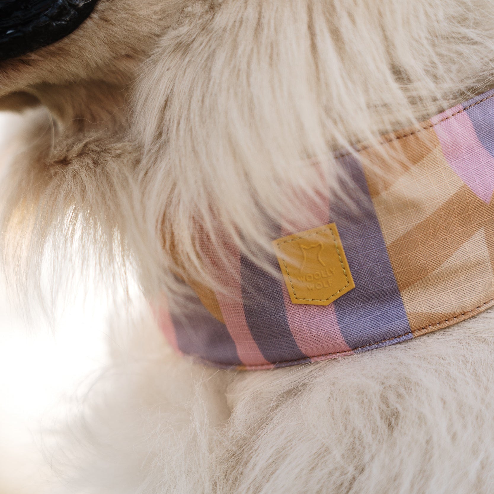 Close-up of a fluffy dogs neck wearing a pastel plaid bandana with a yellow Woolly Wolf tag.