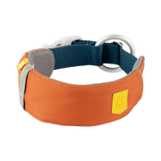 Orange and blue padded dog collar with a metal ring and plastic buckle on a white background.
