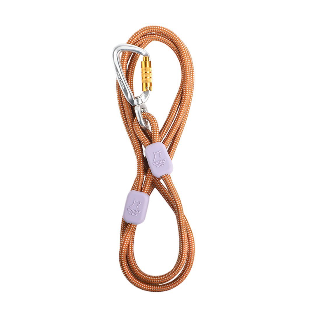lyrlody Guinzaglio per Cani Retrattile 3 Metri, Doppio Guinzaglio del Cane per 2 Cani, 360° Groviglio- Guinzaglio Allungabile, con Luci a LED, Fettuccia in Nylon lyrlody Guinzaglio per Cani Retrattile 3 Metri, Doppio Guinzaglio del Cane per 2 Cani, 360° Groviglio- Guinzaglio Allungabile, con Luci a LED, Fettuccia in Nylon