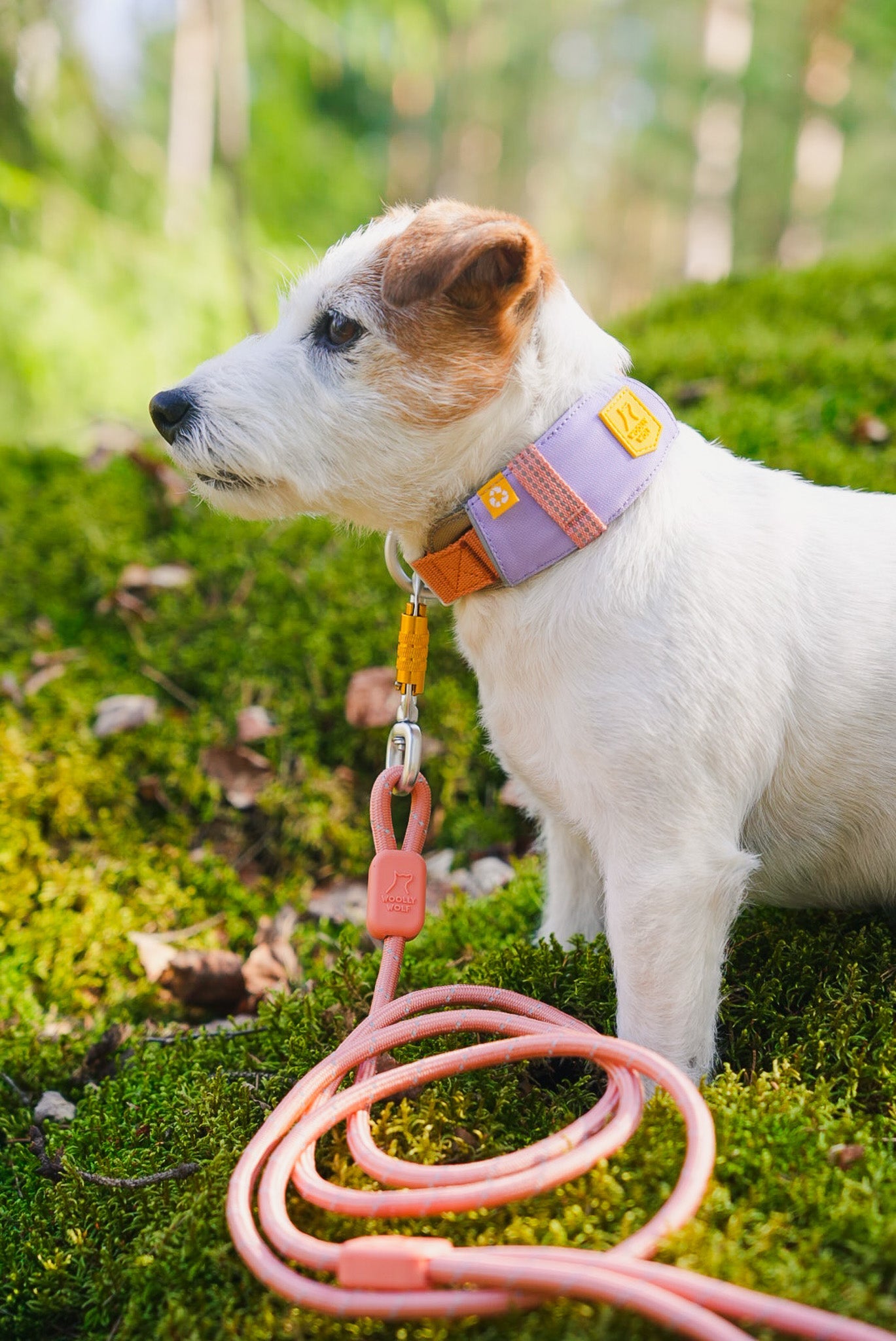 Wolf dog outlet leash