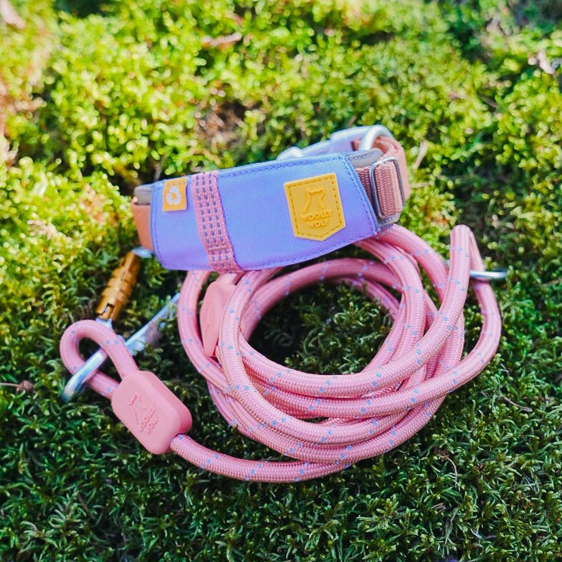 Pink Rope Dog Lead Rope Dog Leash Salmon Pink - Woolly Wolf