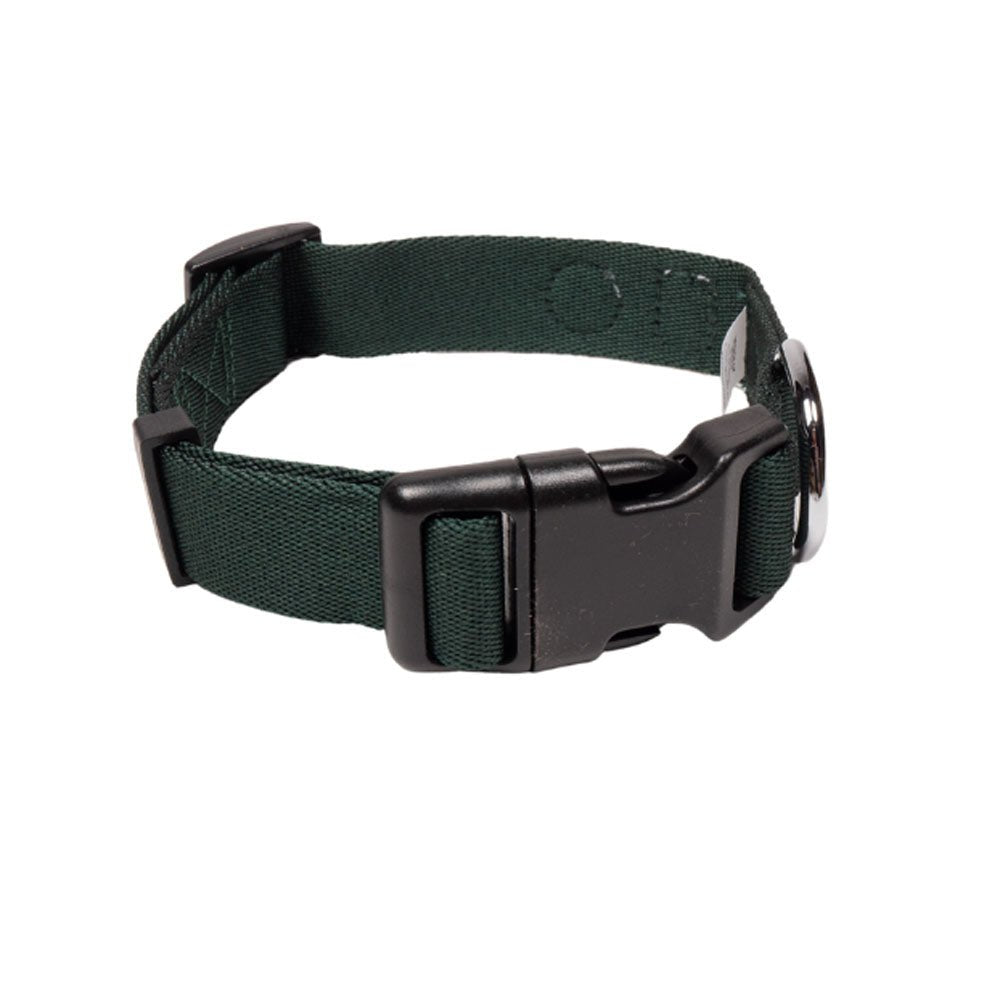 Evergreen Collar - S