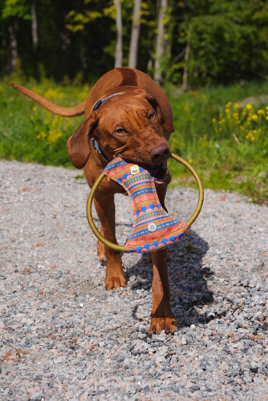 Nightless Night Squeaky Frisbee -