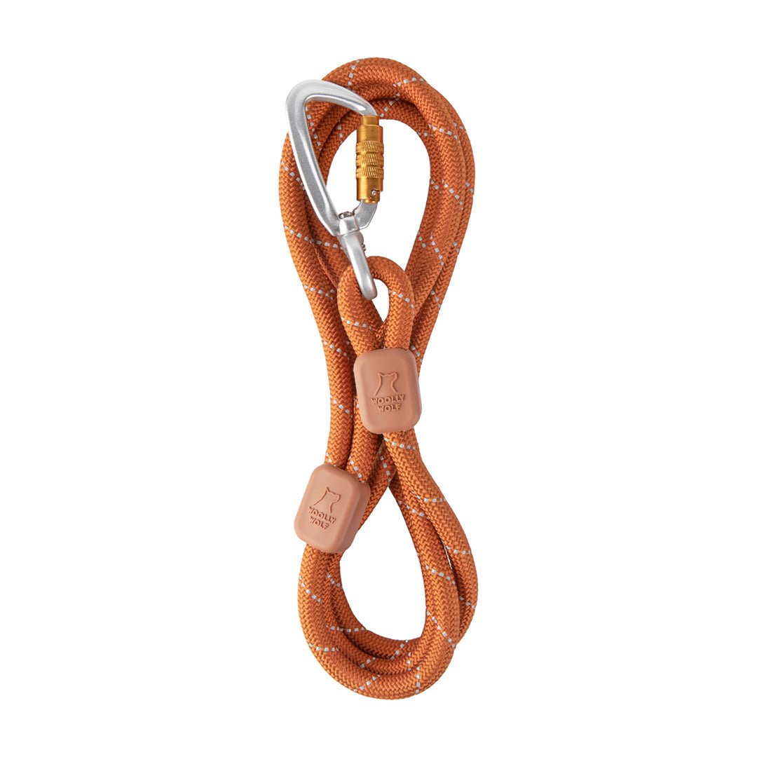 Rope Leash Terracotta - 10mm