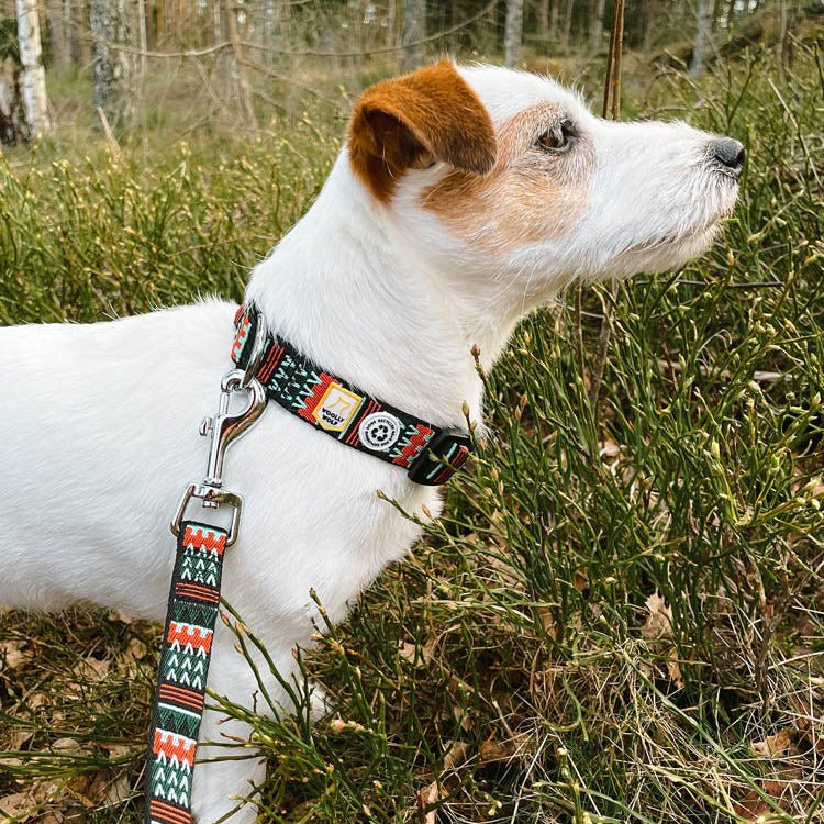 Woodland Dog Collar - Woolly Wolf