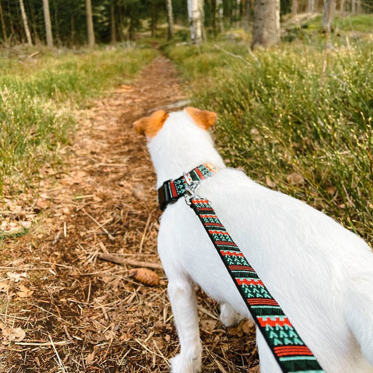 Woodland Dog Leash - Woolly Wolf