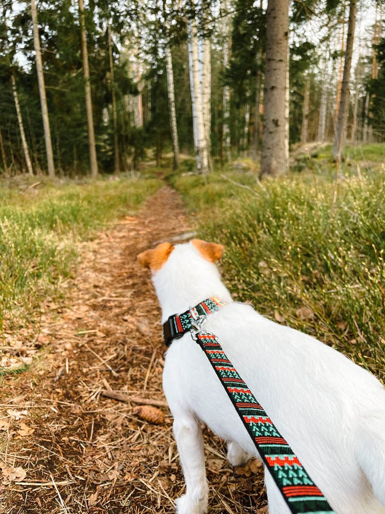 Woodland Leash -