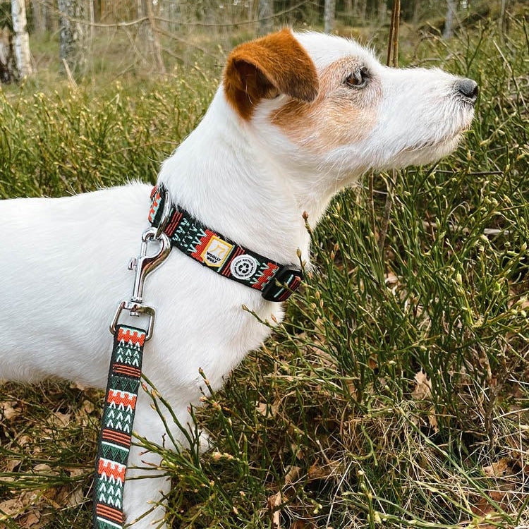 Woodland Dog Leash - Woolly Wolf