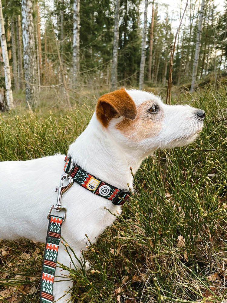 Woodland Leash -